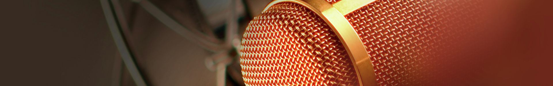 Microphones Accesories